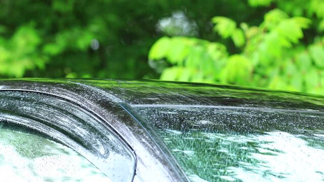 車に降る雨　森林グリーン背景　イメージ
