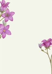 flower frame background for wedding card and others