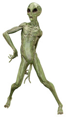 3D Rendering Green Alien on White