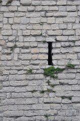 Background with old stonework with a small window. Small sprouts in the cracks between the stones....