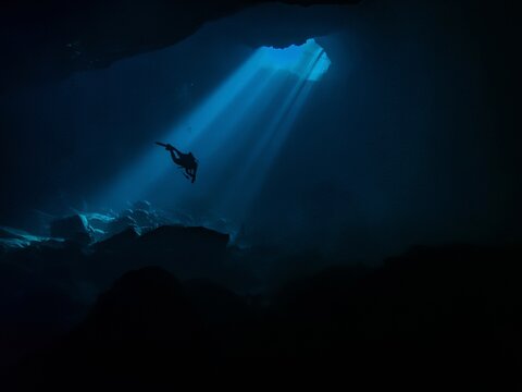 Diver caught in a beam of light in the underwater cavern at Buford Sink, Chassahowitzka Wildlife Management Area, Florida, Florida