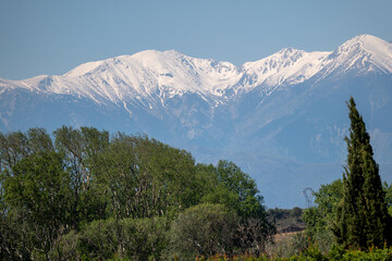 snow covered mountains