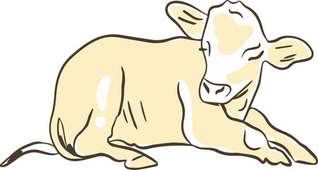 Resting Calf Illustration, A Peaceful Young Cow Lying Down and Relaxing in the Sun