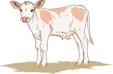 Adorable Calf Illustration, A Gentle Young Cow Standing in a Peaceful Pasture © Ziyasier