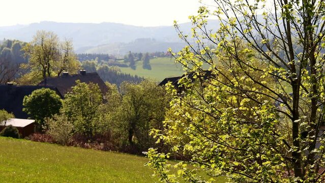 the nature of the german hochsauerland in spring 4k 25fps video