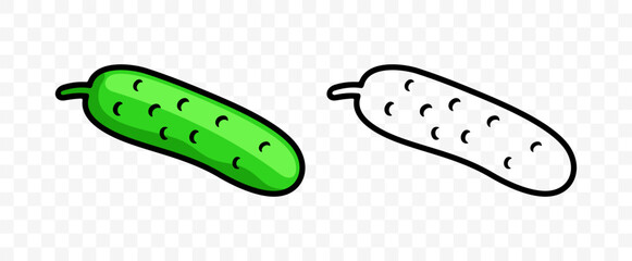 Cucumber, pickle, vegetable, graphic design. Gherkins and plant, fruit, food and meal, nourishment, vector design and illustration