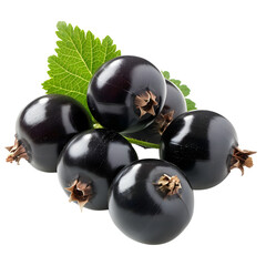 blackcurrant on transparent png background