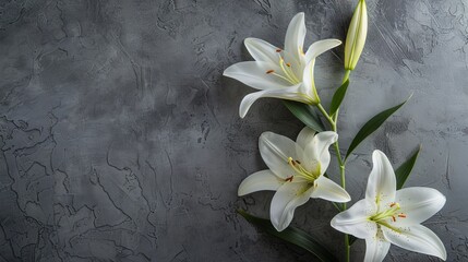 Obraz na płótnie Canvas Minimalist Sympathy Condolences card. Lily flowers on a muted grey background.