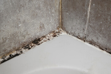 Sulfur stains of mold and dirt in bathroom. Concept of mold in bathroom, excessive dampness and...