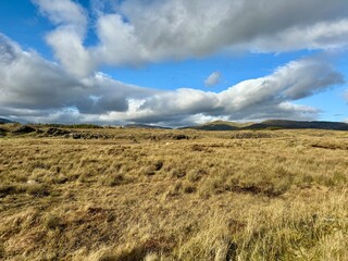 landscape with field and sky, Ireland