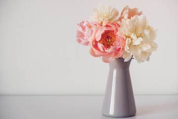 Beautiful fresh colorful peony flowers in full bloom in vase. Copy space for text. Floral still life with blooming peonies.