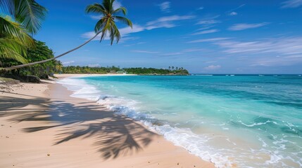 Pristine beach with turquoise waters and palm trees, great for tropical vacation destinations and coastal resort advertisements.