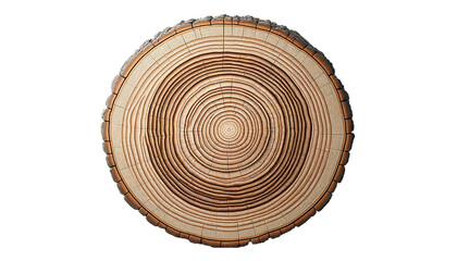 round wooden tree slice isolated on white background