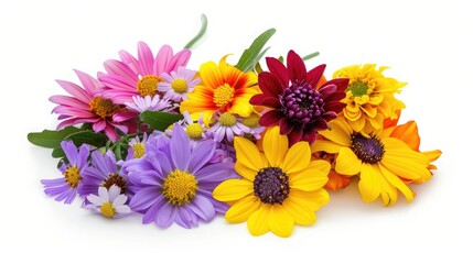 bundle of vibrant flowers set against a pure white background, perfect for design projects.