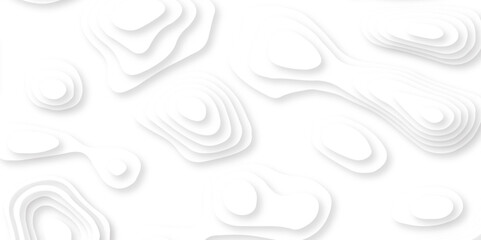 Fototapeta premium Abstract wavy line white paper cut background. Topographic canyon geometric map relief texture with curved layers and shadow. Abstract realistic papercut
