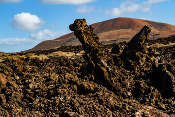 Hiking trail to Caldera Blanca. 