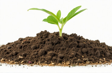 Fertile soil, isolated on a white background