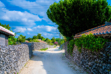 沖縄県竹富島の集落風景