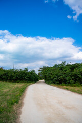 沖縄県竹富島の集落風景