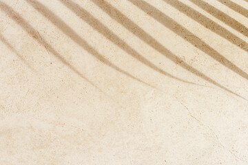 Palm tropical leaf shadow on textured concrete background neutral colored. Summer minimal style,...