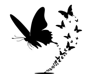 silhouettes of flying butterfly. Vector design element clip art for prints and stickers. isolated on white. 