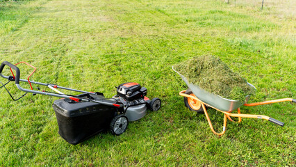 Fototapeta premium Lawn mower on a green flat lawn on a sunny day