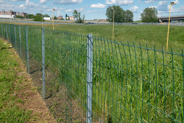 Border fence in a field with galvanized steel pole and electro-welded rectangular mesh mesh....