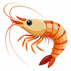 alpheid-shrimp-prawn-looks-vector-white-background