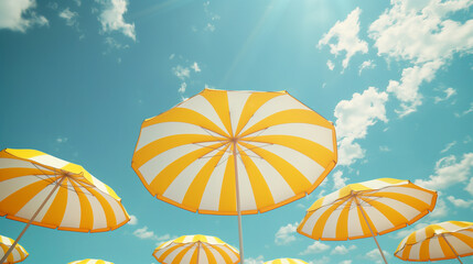Yellow beach umbrellas on a sunny day.