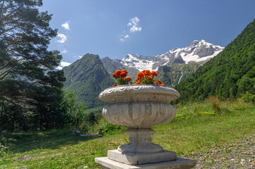 Orange marigolds in a large white vase against the background of snow-capped mountains. Landscape...