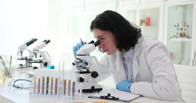 Scientist laboratory assistant checks quality of cereals under microscope. Corn for grain at different doses of fertilizers
