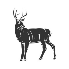 White Tailed Deer Icon Silhouette Illustration. Animals Vector Graphic Pictogram Symbol Clip Art. Doodle Sketch Black Sign.