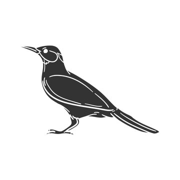 recommend clip art: Yellowhammer Icon Silhouette Illustration. Bird Vector Graphic Pictogram Symbol Clip Art. Doodle Sketch Black Sign.