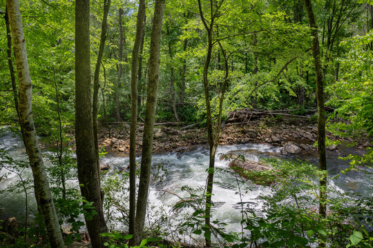 A view of rushing water in the Big Soddy Creek Gulf through the trees. Photographed from the shaded trail that runs along the river and offers beautiful views of the water.