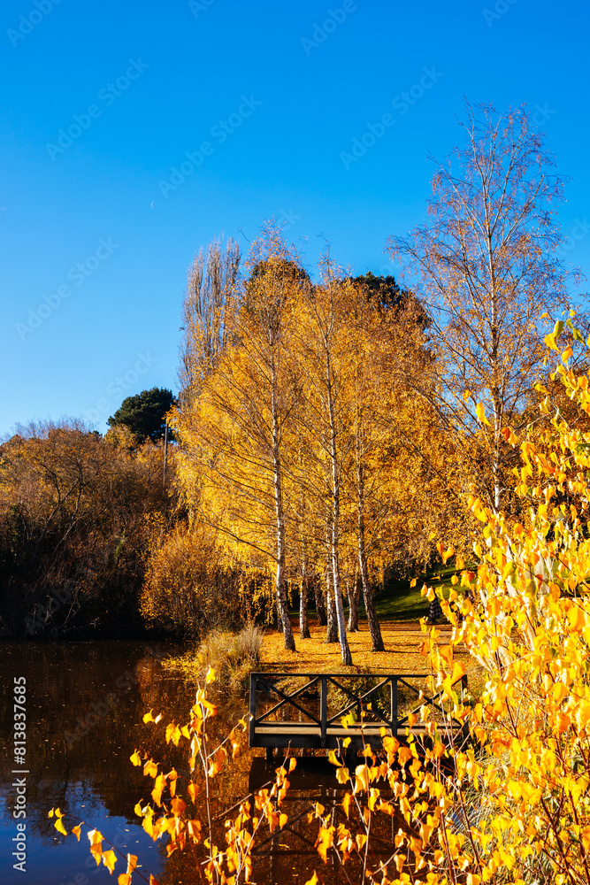 Sticker lake daylesford in victoria australia