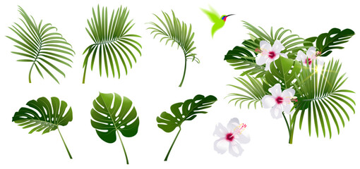 Set of Tropical Plant Branches with White Hibiscus Flower