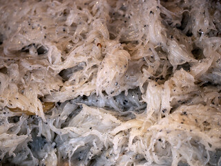 Whitebait baby codfish fresh fish seafood at Ortigia Syracuse sicily fish market Italy