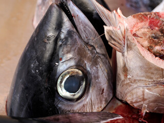 Tuna fresh fish seafood at Ortigia Syracuse sicily fish market Italy