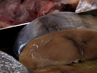 fresh swordfish seafood at Ortigia Syracuse sicily fish market Italy