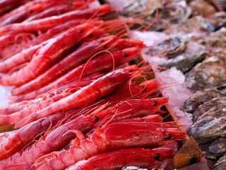 prawn red shrimps fresh fish seafood at Ortigia Syracuse sicily fish market Italy