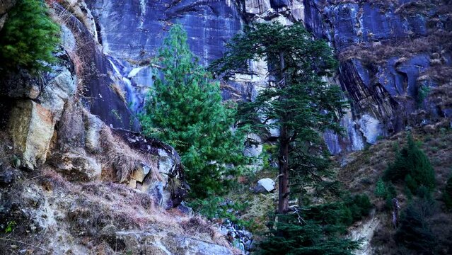 view of jogini waterfall manali