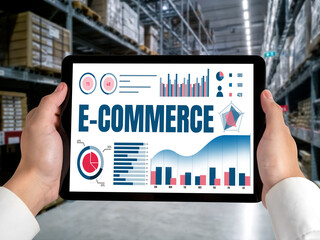 E-commerce data software provide modish dashboard for sale analysis to the online retail business