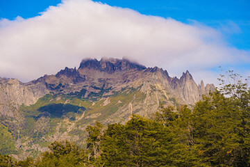 Fototapeta premium Araucarias and lake in the Lanin National Park of Argentina and Chile