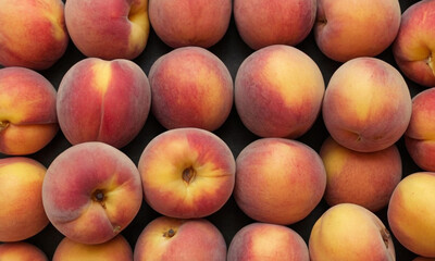 Ripe peaches. Each peach exhibits a mix of vibrant orange and red hues indicating ripeness, with the skin texture of the peaches clearly visible with slight variations in color tones.