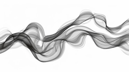 Fototapeta premium Elegant black and white abstract smoke waves background