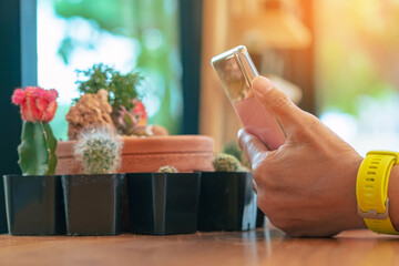 Business woman hands with smart phone with beautiful cactus on table. Hands of Woman using smart phone in cafe. Mature woman sitting at table and using mobile phone. For Graphic display montage.