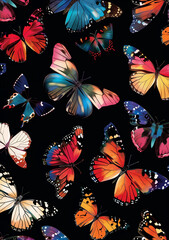a colorful collection of butterflies