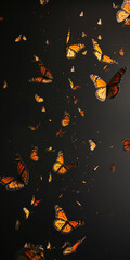a colorful collection of butterflies