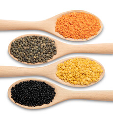 Four varieties of lentils, close-up from a high angle, in front of a white background