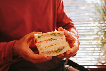 Man holding a double sandwich with tuna and tomatoes close-up